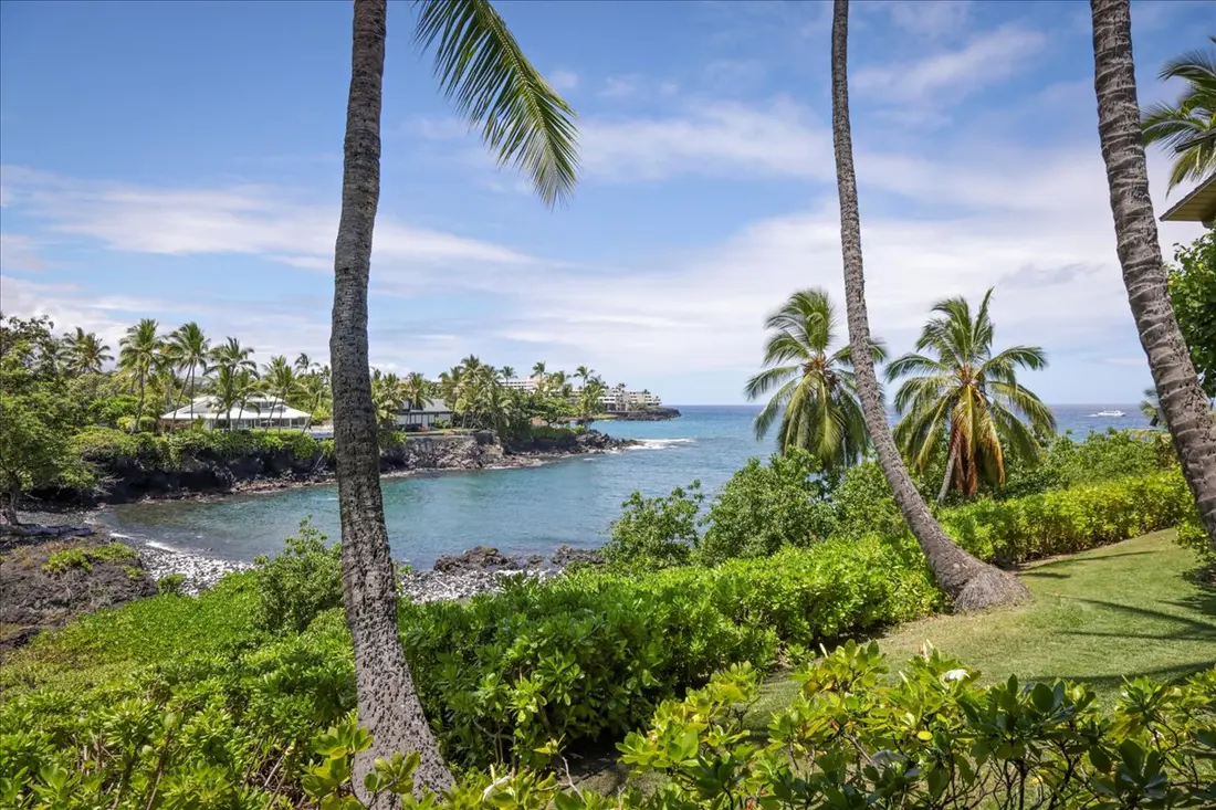 Heʻeia Bay framed by palm trees
