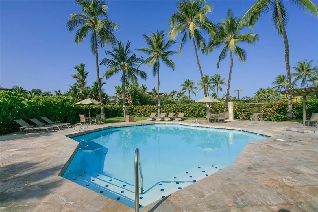 Quiet pool surrounded by tropical palms