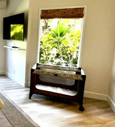 Pack ’n Play set up beside a tropical window